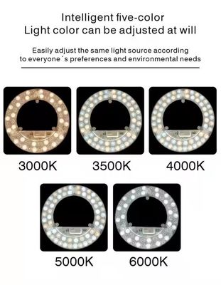ERP ETL Certified 24W Round LED Panel Light with Adjustable CCT