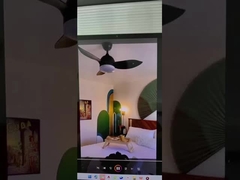 led ceiling fan light good quality best seller